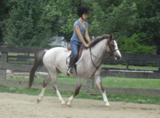 oliver7-20-10 017web